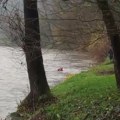Tragedija U zenici: Iz reke izvučeno telo devojčice (11)
