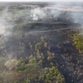 Požar pod kontrolom u Radanovačkoj šumi u blizini srpsko-mađarske granice