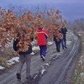 Doviđenja, badnjače... do sledeće godine!