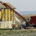Pšenica hit na Novosadskoj berzi Zlatno zrno dominira