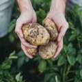 Nova pravila za organsku proizvodnju: Detaljne provere, strože kontrole i registar proizvođača