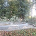 (Foto/video) drama u Čačku u parku palo ogromno drvo, prolaznici za dlaku izbegli tragediju