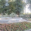 Dramatična noć u Čačku: Nevreme oborilo drvo posred pešačke staze, srećom nije bilo nikog
