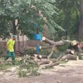 Mićin: Sve službe Novog Sada na terenu i saniraju posledice oluje, građane molim za strpljenje