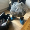 Džinovski pacov pronađen čoveku u kući! Većeg do sada niko nije video: "Problem je izmakao kontroli" (foto)