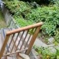 Mali pas golim zubima oterao zver iz kuće Vlasnica u šoku gledala kako beži glavom bez obzira! (video)