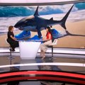 „Odumiranje mozga“ – koliko su opasni digitalni sadržaji za decu
