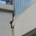 Infrastrukture železnice: Podvožnjak u Subotici bezbedan, naprsline nisu na nosećoj konstrukciji