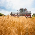 Da li svetu preti glad zbog rata sa Iranom? Poljoprivrednici se pripremaju na nestašice resursa