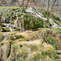 (Foto) Rajski slapovi Srbije: Taorska vrela kriju lekovite tajne, usamljenu vodenicu i čudo prirode