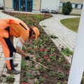 JKP „Mediana“ danas uređuje parkove, kej i ulice širom Niša: Evo gde rade ekipe