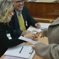 Šebek (RIK): Ponavljanje izbora se očekuje na oko 50 biračkih mesta