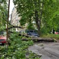 U Novom Sadu više od 2.200 prijava građana zbog posledica dva nevremena u julu, grad spremno dočekuje nove padavine