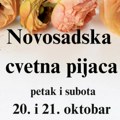 Novosadska cvetna pijaca : Za vikend na platou Vujadina Boškova