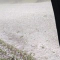 Zabeleli se srbac i gradiška Zimske scene usred maja, jako nevreme stiglo iz Hrvatske (foto)
