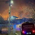 Gotova drama na Fruškoj gori Tajfun, zver koja je pobegla, vraćen u ograđeni prostor