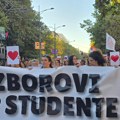 Održan šesti zbor građana MZ „Sremska Kamenica“, predstavnici neformalnih grupa podržali studentsku borbu