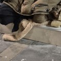 Momčilović kaže da nemaju prijavljene slučajeve beskućnika a prijavu građana da mlađa ženska osoba spava na ulici, nije…