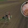 Пољопривредницма додатних 100.000 динара: Ево када почиње исплата