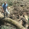 Olujno nevreme opustošilo ivanjički kraj! Hitno se oglasili nadležni, na terenu teška mehanizacija