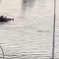 Čovek na dušeku se "vozi" ulicom! Nevreme napravilo poplavu, svi beže, a on imao originalnu ideju - pogledajte (video)