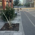SLIKE GRADA: Divljanje u noćnim satima, policije nigde