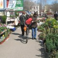Novosađani, svaka čast! Ove godine prikupljeno 18,5 tona papira za reciklažu i sačuvano oko 31 stabala! Na terasama i u…