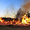 Pod kontrolom požar u blizini srpsko - mađarske granice, izgorelo oko 50 hektara mešovite šume