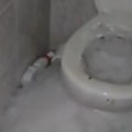 Led izleteo iz wc šolje usred haosa u Splitu - nerealne slike iz toaleta postale hit na mrežama