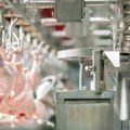 EU zabranila piletinu iz BiH: Milionski udar na industriju