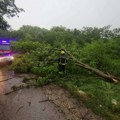 Nevreme u Kragujevcu: Oborena stabla, nestajala struja (VIDEO)