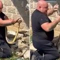 "Majko moja, jao! Gde ćeš, gde si krenuo": Vladica zavukao ruku među cigle, a onda ga je ujela za ruku (video)
