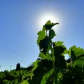 Nastavlja se toplotni talas u Srbiji, temperatura do 40 stepeni