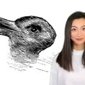 Šta ste prvo videli – zeca ili patku? Optička iluzija otkriva vašu ličnost