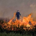 U požarima u centralnoj Grčkoj stradao pastir, na Rodosu uhapšen Nemac koji je podmetnuo vatru