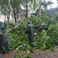 Ekipe na terenu više od 15 sati: JKP 'Zelenilo Beograd' zbog nevremena intervenisalo na više od 50 lokacija u gradu