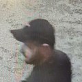 (Foto) ovo je razbojnik koji je ukrao auto sa devojčicom (12): Na glavi kačket, oko vrata torbica: Snimljen i trenutak kad…