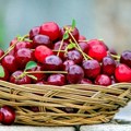 Prve trešnje idu i do 1.500 dinara po kilogramu, očekuju se skuplje i kajsije, breskve, šljive…