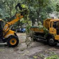 Intervenisali na više od 40 lokacija: Brzom reakcijom "Gradskog zelenila" sanirana šteta od nevremena u Novom Sadu