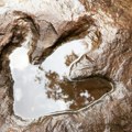 "Poslednji gigant": Na Tajlandu otkriven najveći dinosaurus biljojed ikada