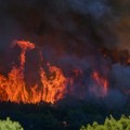 Gotovo 50 vatrogasaca gasi veliki šumski požar na zapadu Slovačke