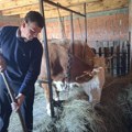 Uzeo diplomu u ruke, pa otišao da čuva krave Zavirite u kuću najpoznatijeg seoskog domaćina, jedan detalj sve vratio u…