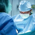 Medicina: Pacijent se ’uspešno oporavlja’ posle transplantacije svinjskog bubrega