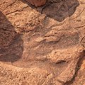 Misteriozni crteži pored otisaka dinosaurusa: Naučnici traže motiv praistorijskih ljudi