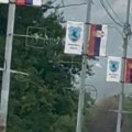 „Dani karanfila“ u Vranjskoj Banji: Kiša protiv budilice, zastave i grbmesta na svakoj banderi