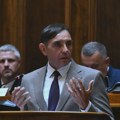 Vulin o Srbiji u BRIKS: Srpski suverenitet ne ide sa evropskim putem