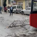 Foto vest (VIDEO): Pala grana drveta u Hilandarskoj ulici