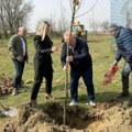 Cvetanović sadio drvce u Maloj Biljanici