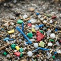 Mikroplastika je stigla do našeg mozga – šta to znači za nas?