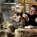 Prva kost dinosaurusa sa Antarktika pronađena u fioci posle 40 godina
